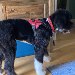 Perfectly groomed