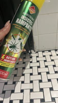 Hotel Rose Bourbon by null