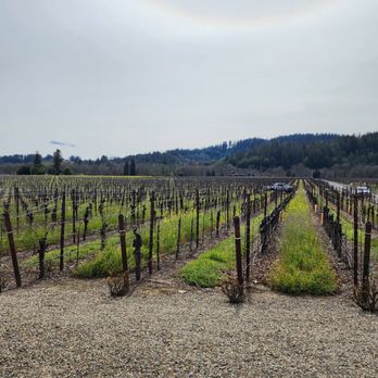 West Wines - Wine Tours Near Me - Healdsburg, California