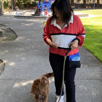 See Jane Dog Behavior and Training - Pet Training Near Me See Jane Dog Behavior and Training - Pet Training Near Me
