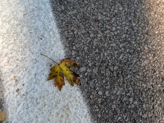 Stearns Park by null