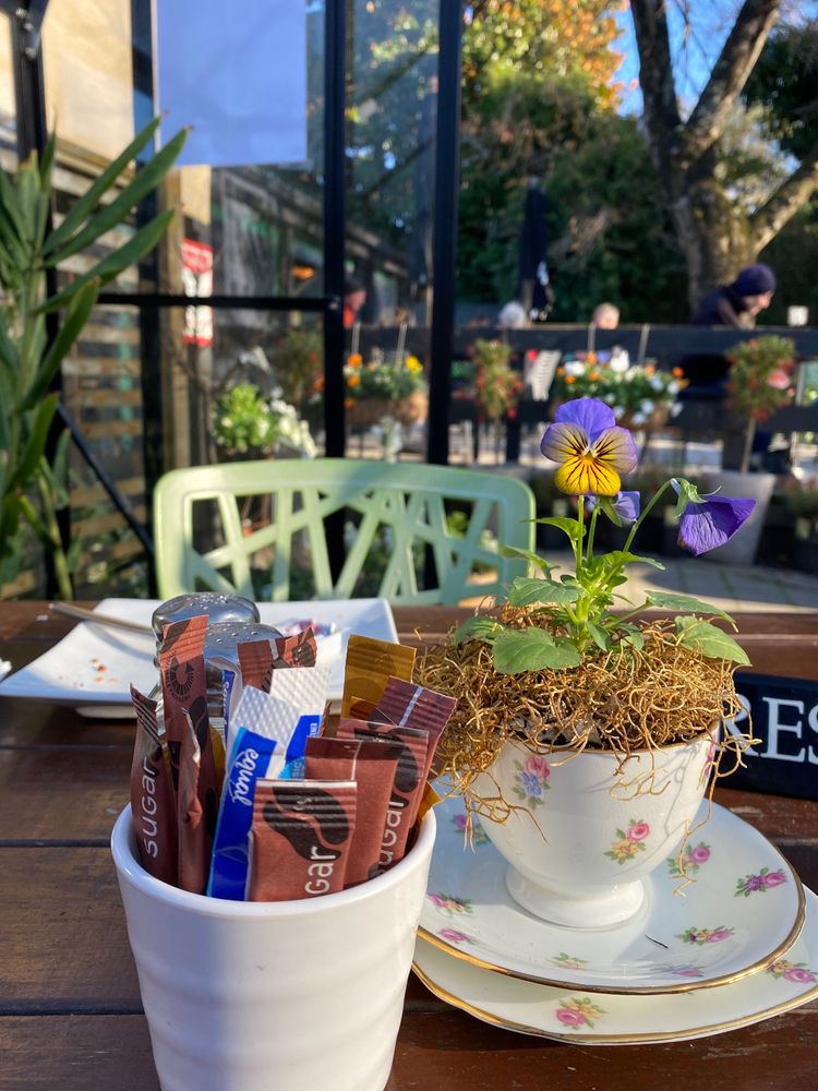 THE CAFE AT HARRISONS GARDEN CENTRE with photos Updated August 2024