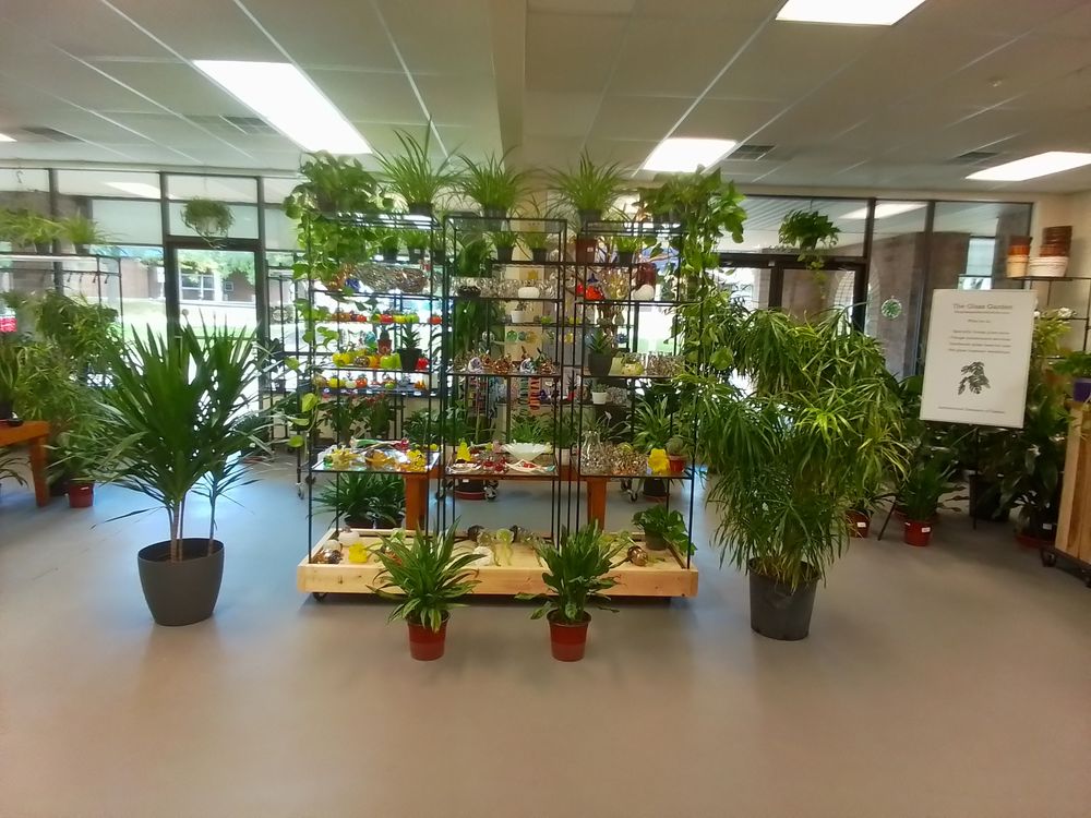 THE GLASS GARDEN OF CANTON Updated October 2024 4330 Avondale Ln NW