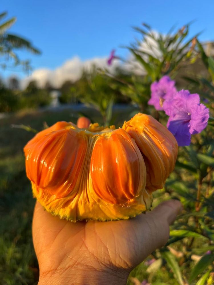 ASCENSION BAR Updated September 2024 100 Photos & 16 Reviews 94