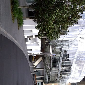 Harvest Buffet - Buffets Near Me - Pyrmont, NSW