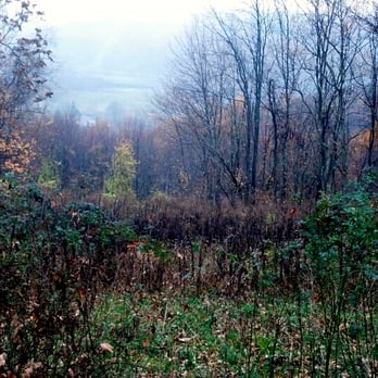 RYERSON STATION STATE PARK - Updated January 2026 - 11 Photos - 361 ...