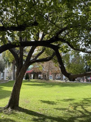 Grand Hope Park by null