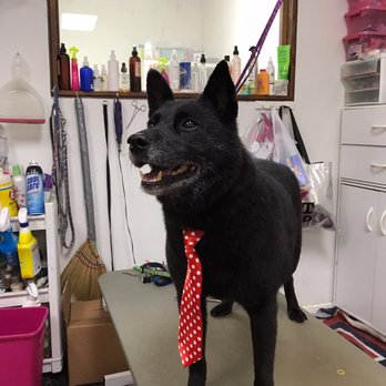 Euclid Pet Grooming - Pet Groomers Near Me - Ontario, California Euclid Pet Grooming - Pet Groomers Near Me - Ontario, California
