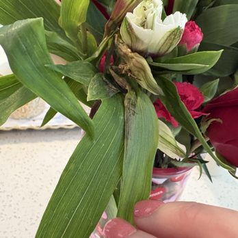 1800 Flowers - What...is...this... - Florists Near Me - Charlotte, North Carolina 1800 Flowers - What...is...this... - Florists Near Me - Charlotte, North Carolina