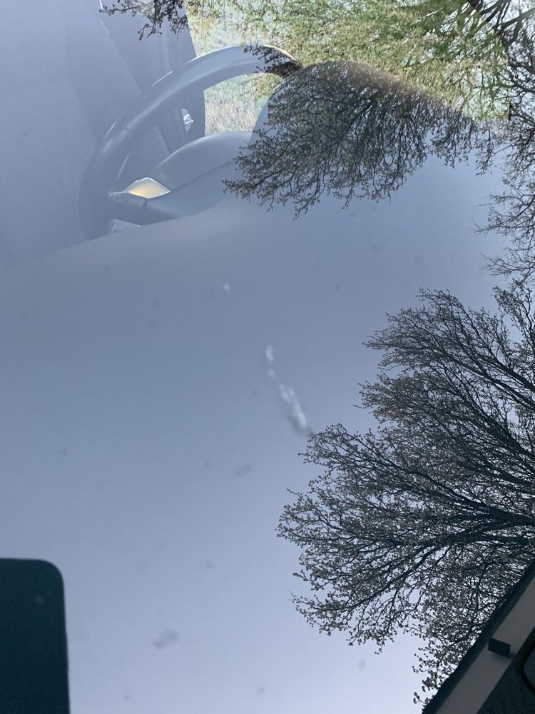 MARVEL CARWASH AND DOGWASH 30 Photos & 23 Reviews 8060 Woodbridge