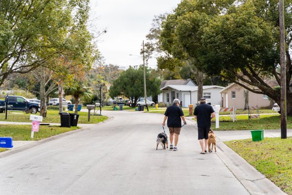Daytona Canines Pet Sitting