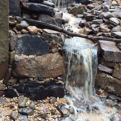 Snake Nation Landscapes & Carpentry