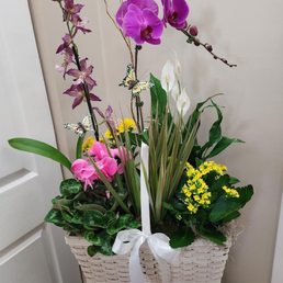 Flowering basket Flowering basket