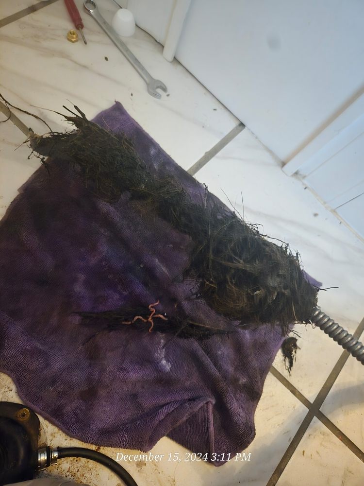 Slide of Rockin Rooter