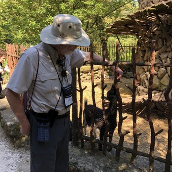 Quinta da Aveleda - Goats! - Wineries Near Me - Penafiel, 13