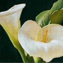 The Atelier School of Classical Realism