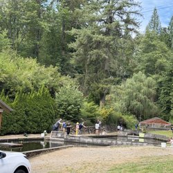 Gold Creek Trout Farm