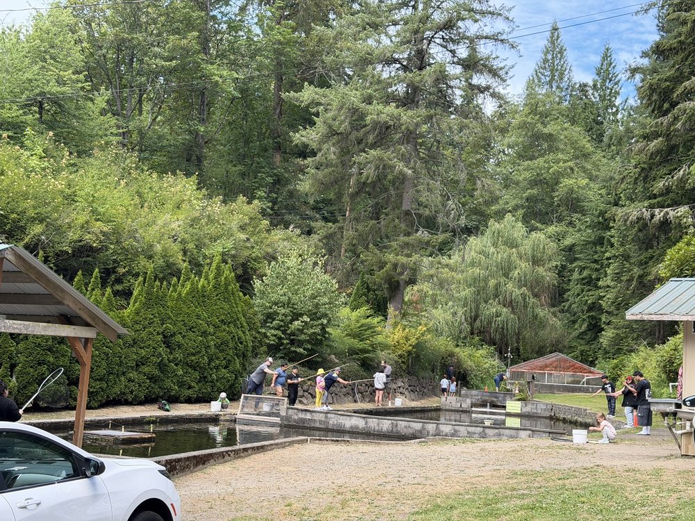 Gold Creek Trout Farm Logo