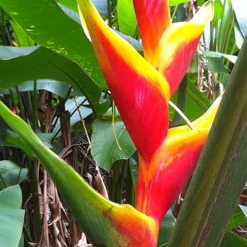 Twin Falls Trail - Hiking Near Me - Haiku, Hawaii Twin Falls Trail - Hiking Near Me - Haiku, Hawaii