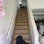 Safer Choice Cleaning