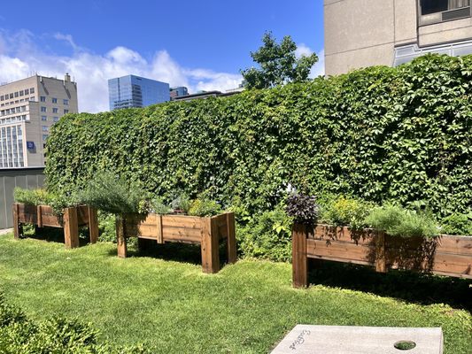 Le Centre Sheraton Montreal Hotel by null