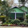 Rainforest Clinic For Birds