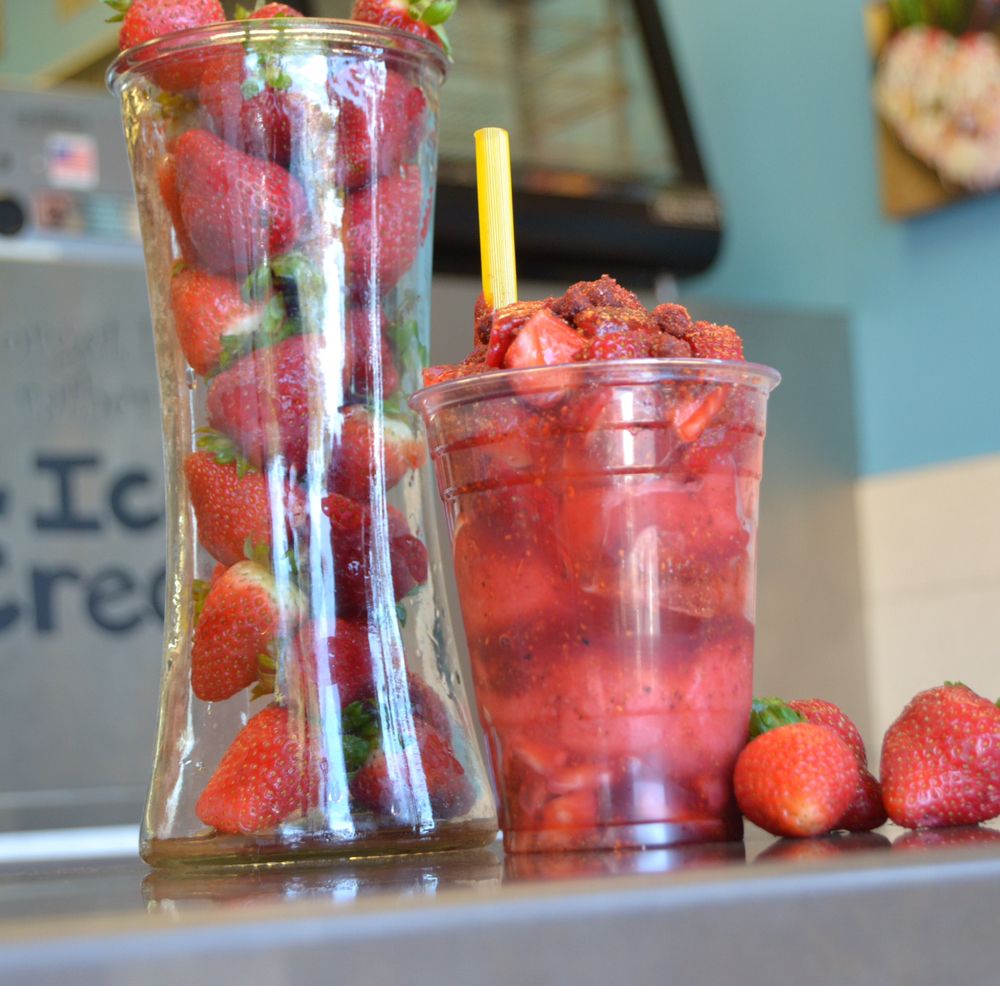 XENIA’S GELATO Updated September 2024 60 Photos & 14 Reviews