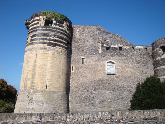 Château d'Angers by null