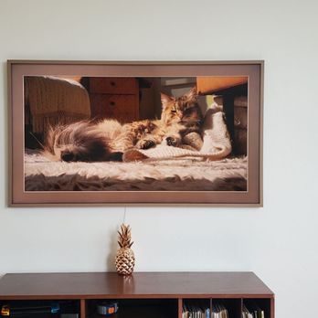 Bay Area Wall Mounts - Fresh mount! - Home Theatre Installation Near Me Bay Area Wall Mounts - Fresh mount! - Home Theatre Installation Near Me