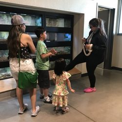Great Valley Museum of Natural History