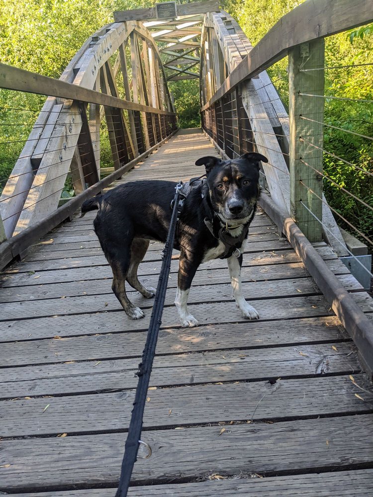 Mount Pisgah Arboretum - wedding in Eugene, OR