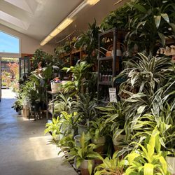Sloat Garden Center