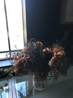 Mohawk Man by null