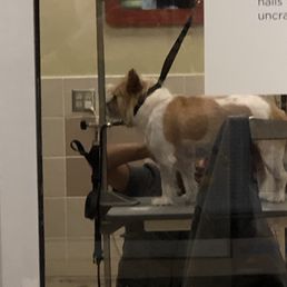 Grooming time!