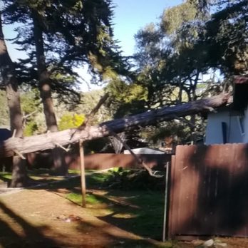 USAA - Monterey Pine Tree on House No crane used to remove more damage caused by USAA and American Technologies Inc. - Home & Rental Insurance Near Me - San Antonio, Texas