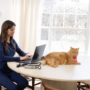 BetterVet Denver, Mobile Vet Services - Veterinarians Near Me BetterVet Denver, Mobile Vet Services - Veterinarians Near Me