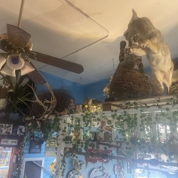 Hurricane Ron’s - More. - Seafood Near Me - Astoria, Oregon Hurricane Ron’s - More. - Seafood Near Me - Astoria, Oregon