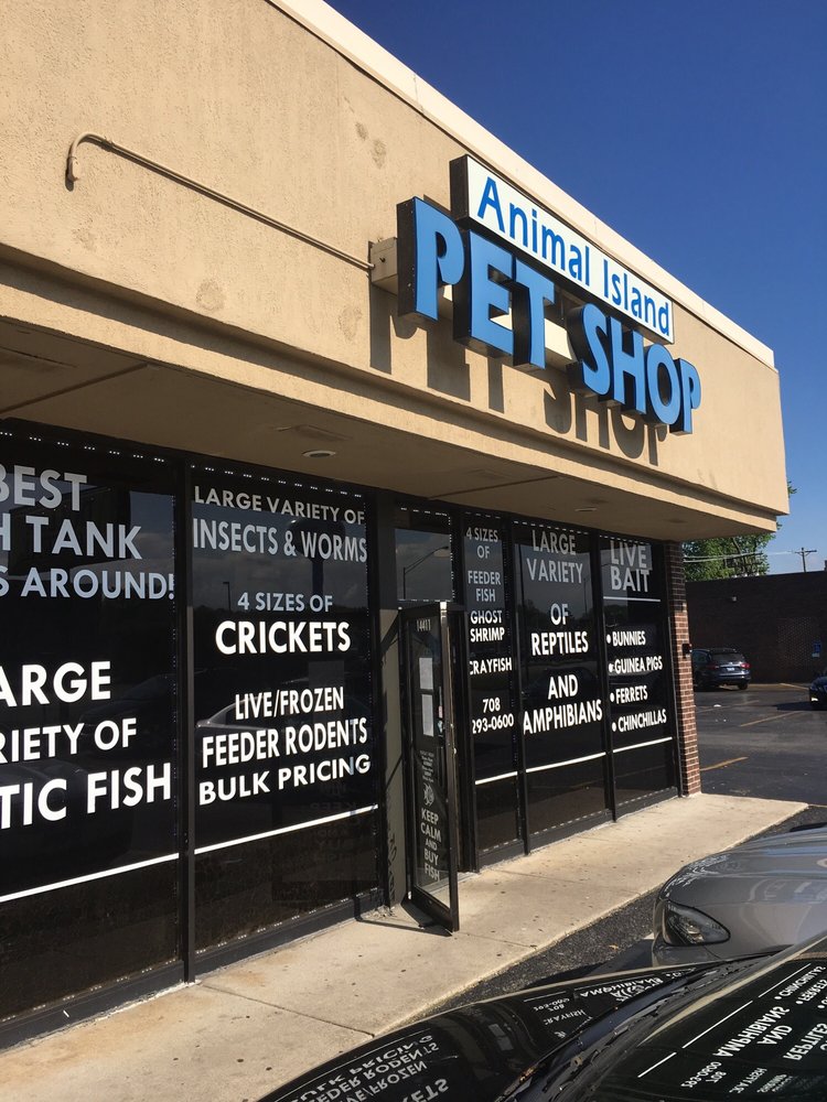 ANIMAL ISLAND PET SHOP Updated May 2024 35 Photos & 53 Reviews 14411 Cicero Ave