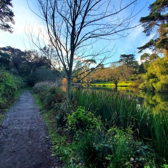 Mallard Lake - Trail bordering the lake - Lakes Near Me - San Francisco, California Mallard Lake - Trail bordering the lake - Lakes Near Me - San Francisco, California