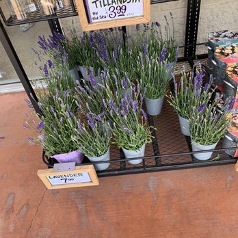 Trader Joe's - Grocery Near Me - Yorba Linda, California