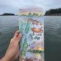 Midcoast Kayak