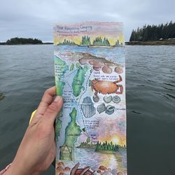 Midcoast Kayak