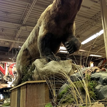 Bass Pro Shops - Truly an awesome and beautiful creature. - Outdoor Gear Near Me - Auburn, New York