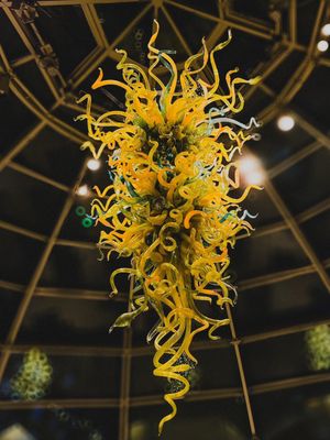 Phipps Conservatory and Botanical Gardens by null
