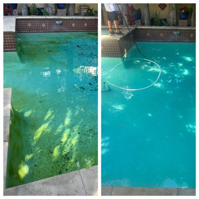 Algae Gone - Whether you have yellow algae, green algae, or just a swamp. Here at OC ELITE POOL SERVICES, we can turn it around for you in as little as a day Algae Gone - Whether you have yellow algae, green algae, or just a swamp. Here at OC ELITE POOL SERVICES, we can turn it around for you in as little as a day