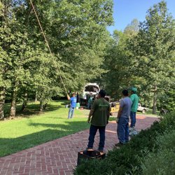 Zach's Tree Service - Men at work