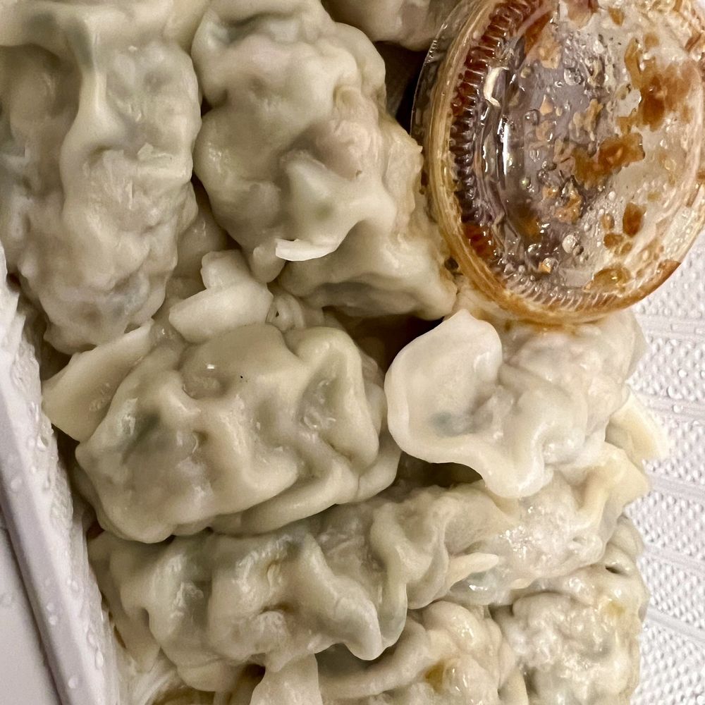 Amore Eats - Leek dumplings - Taiwanese Near Me - Rockville, Maryland