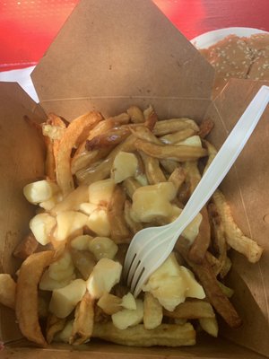 The Clam Digger by null