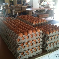 Nadra Eggs