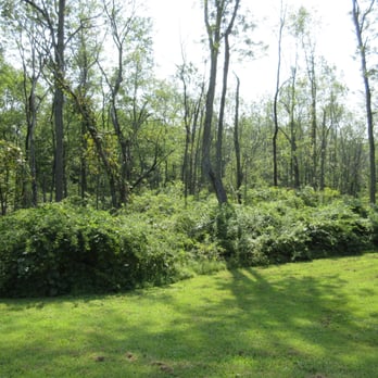 Franklin D Roosevelt State Park - So much greenery - Swimming Pools Near Me - Yorktown Heights, New York